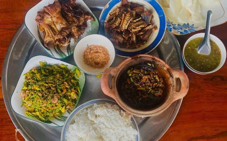 Following river, fields, seasons for taste of rural life in Vietnam’s Mekong Delta