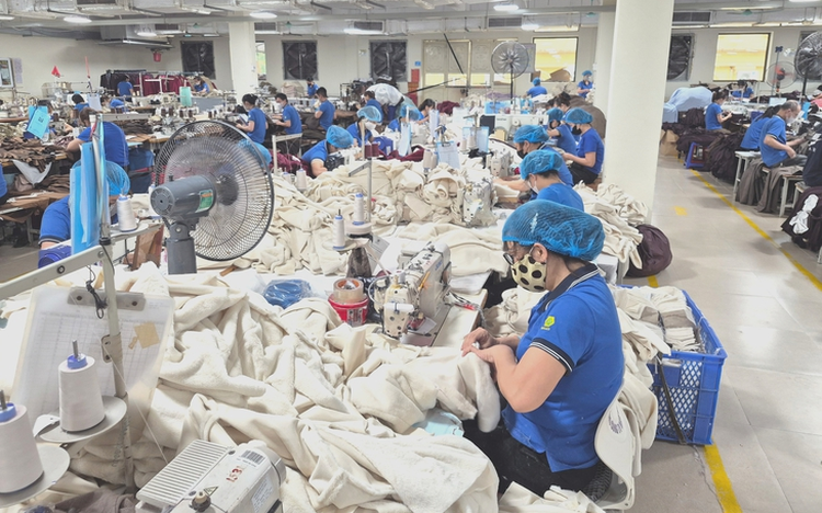 Vietnam exporters urged to strengthen origin traceability amid US transshipment crackdown