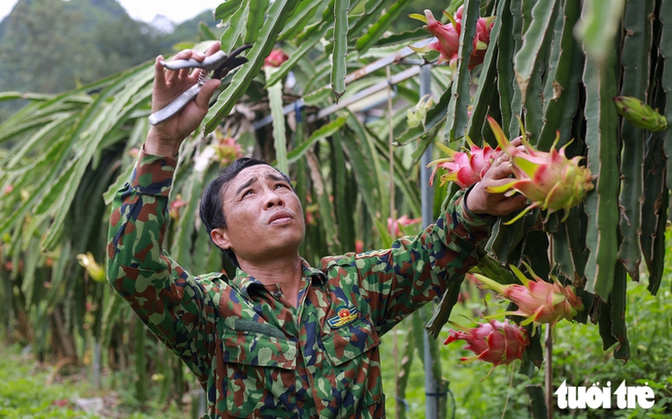Vietnamese exporters should prepare for stricter EU pesticide residue rules: insider