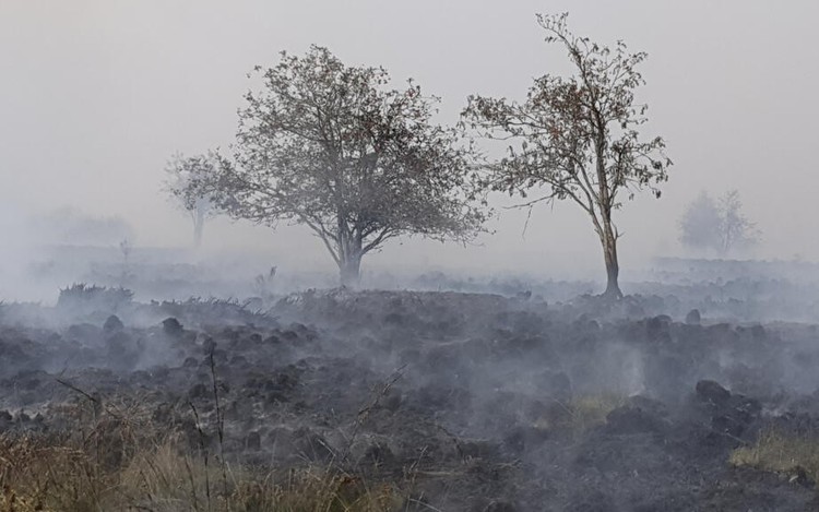 EU sends aircraft, villages evacuated as Belgium fights record wildfire