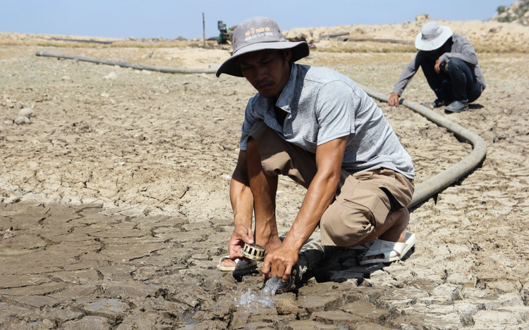 Strong El Nino raises risk of rainfall shortages, early dry season in southern Vietnam