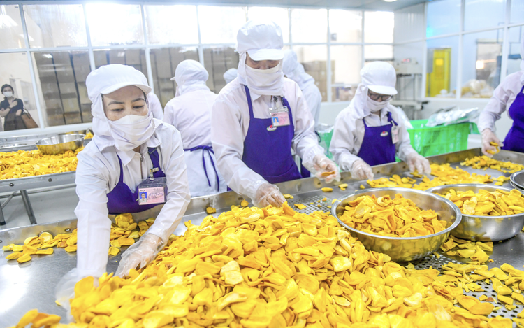 Vietnamese goods face tougher hurdles in France despite EVFTA tariff benefits