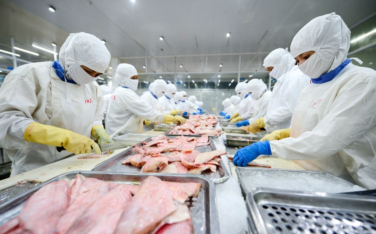 Vietnam tra fish exports to US face tougher competition as tariffs rise