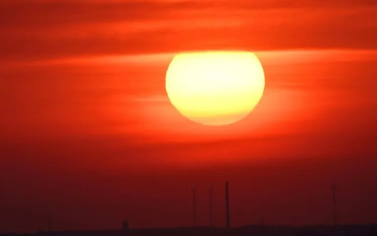 Germany reports record 14,000 heat-related deaths this summer