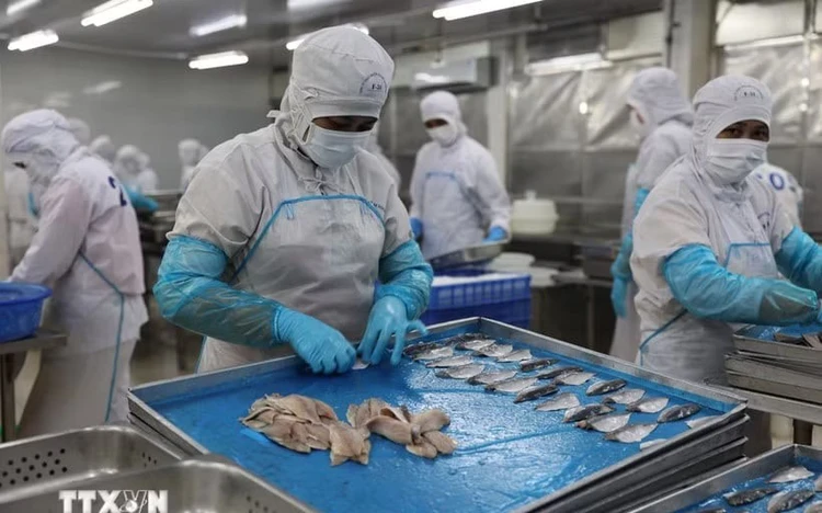 Vietnam remains Cambodia’s top seafood supplier in H1