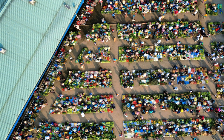 This ‘squat market’ in Vietnam’s Mekong Delta may change your view of 'squat markets'