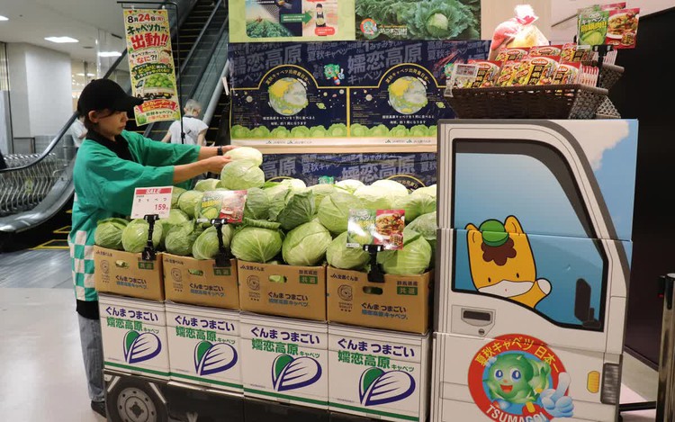 Satellite data used to boost cabbage sales in Japan