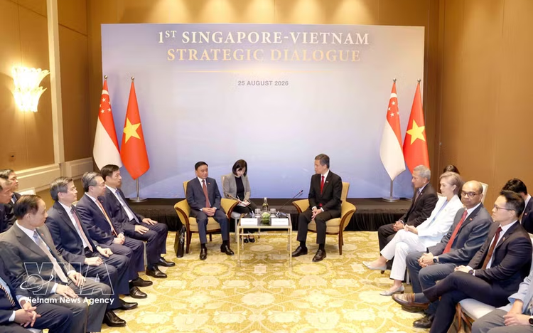 Singapore hosts welcome ceremony for key Party leader Tran Cam Tu