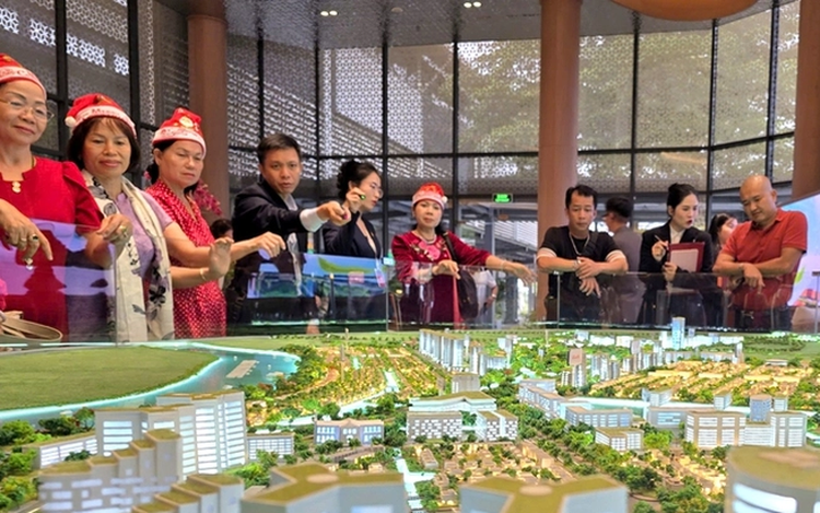 Doctors, lawyers, brokers: How far back can tax audits go in Vietnam?