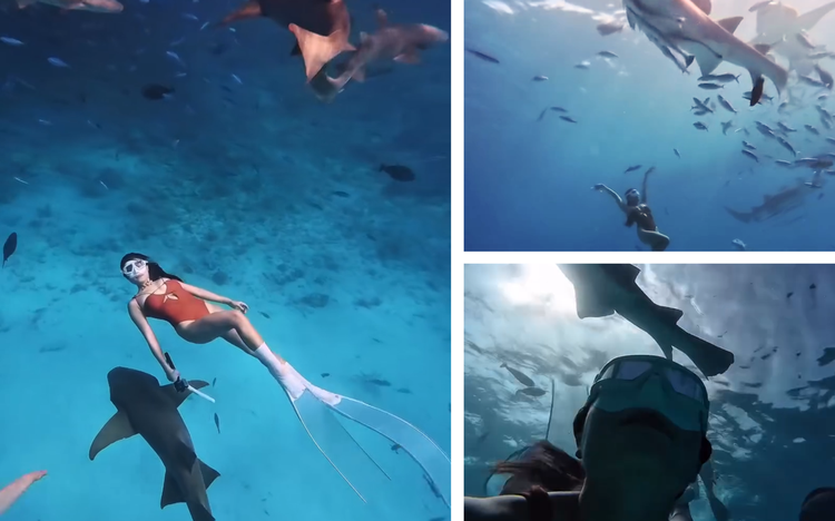 Vietnamese woman overcomes fear to dive alongside nurse sharks in Maldives