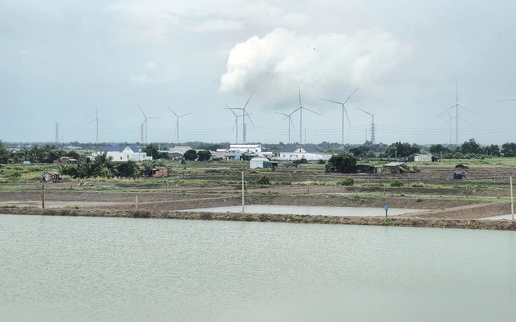 Vietnamese city advances 19 wind power projects worth over $3.5bn