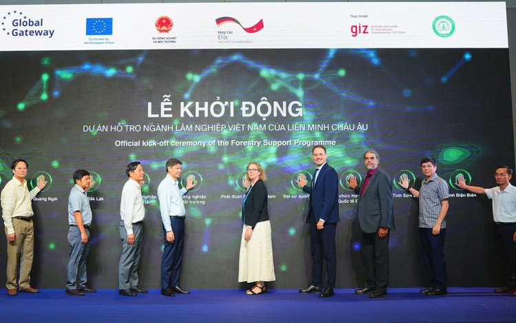 EU, Germany join Vietnam’s efforts in natural forest restoration, sustainable management