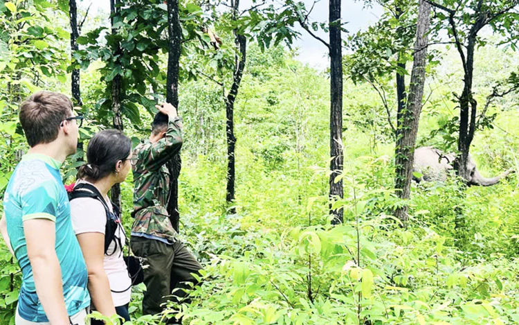 Local, int’l visitors see elephants, rare wildlife up close in Vietnam’s Central Highlands