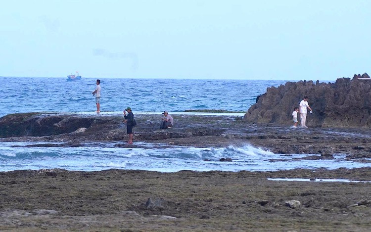 Uncontrolled tourism damages live coral reefs off Vietnam’s Khanh Hoa coast