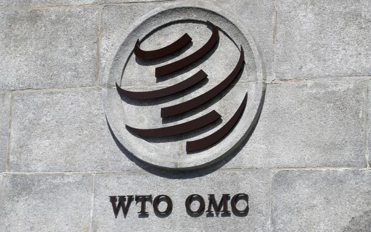 WTO says global trade system at critical juncture, urges reform