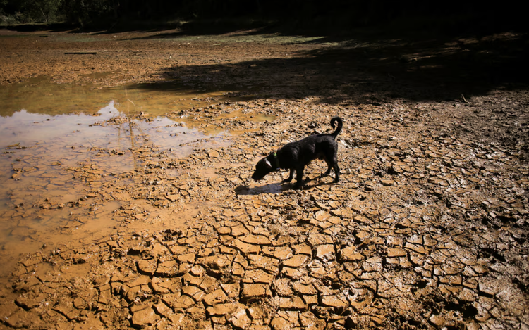 What is a 'super El Niño' and how will it affect the weather?