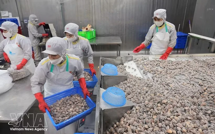 Vietnam’s agro-forestry-aquatic exports rise 7% in eight months