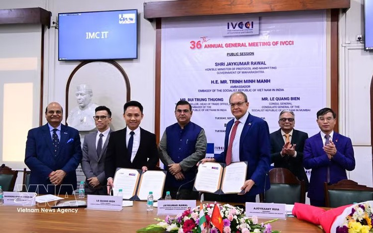 Vietnam, India move to deepen business, e-commerce connectivity