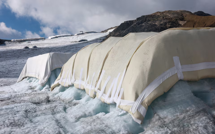 Can sheep save the glaciers? Swiss scientists put wool to the test