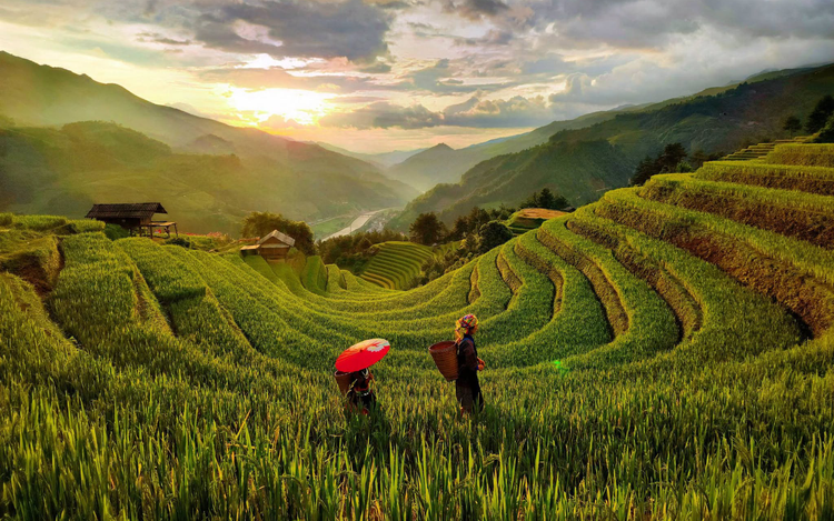 Homestay in Vietnam's Mu Cang Chai explains $3.8 motorbike taxi surcharge after online backlash