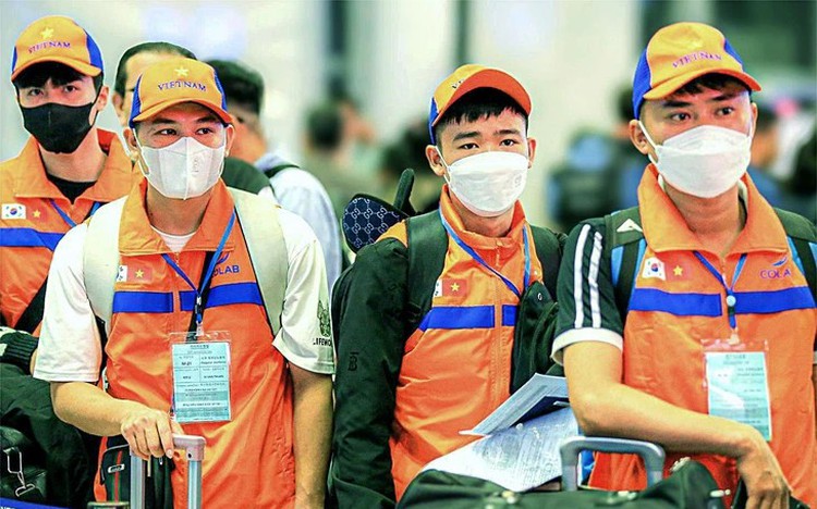 Vietnamese workers spend over $4,800 per person to work abroad in 2025: report