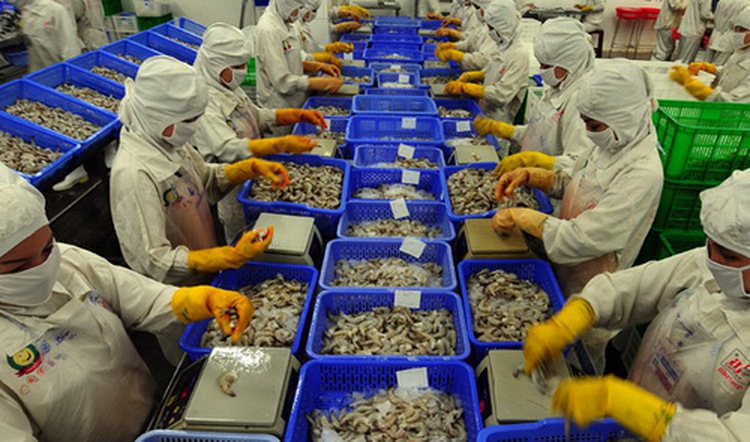 VASEP protests against anti-subsidy duties on local shrimp