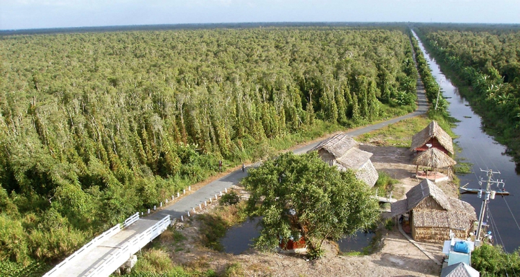 Ca Mau gets dire warning on land subsidence risk: NGI