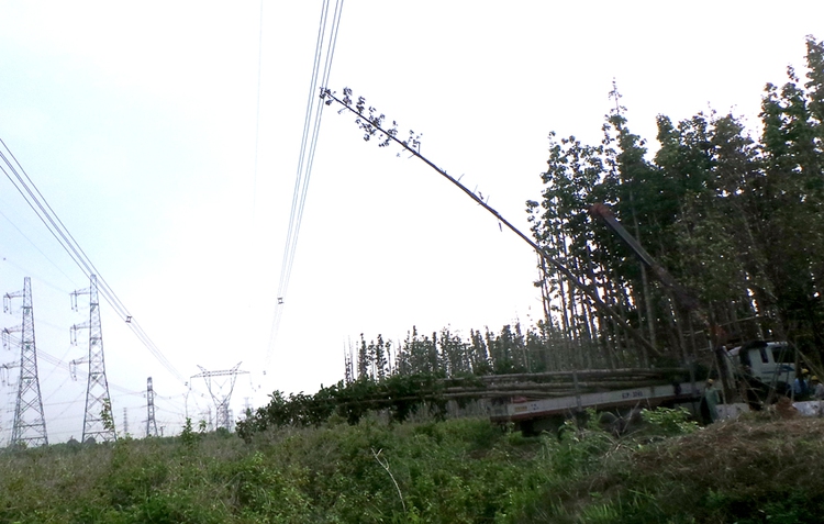 Reckless public work causes massive outage in southern VN