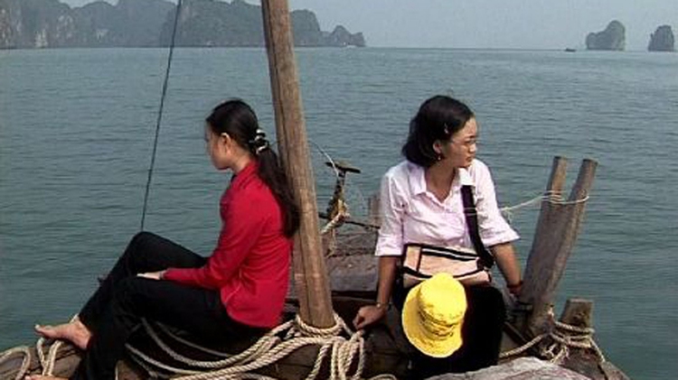 Documentaries from different countries screened for free