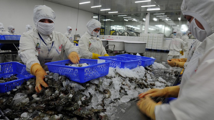 Vietnam produce exports should meet food hygiene, safety requirements in overseas markets: ministry