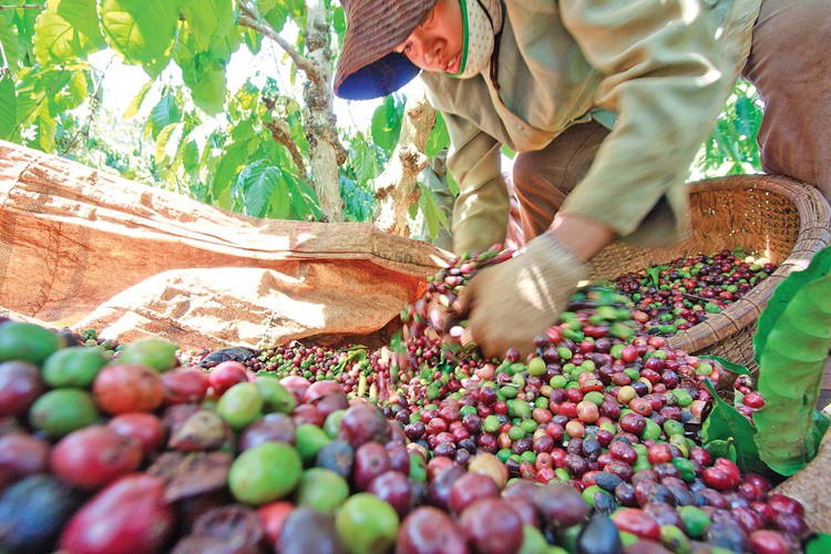 Vietnam confectionery maker expands in non-core sectors