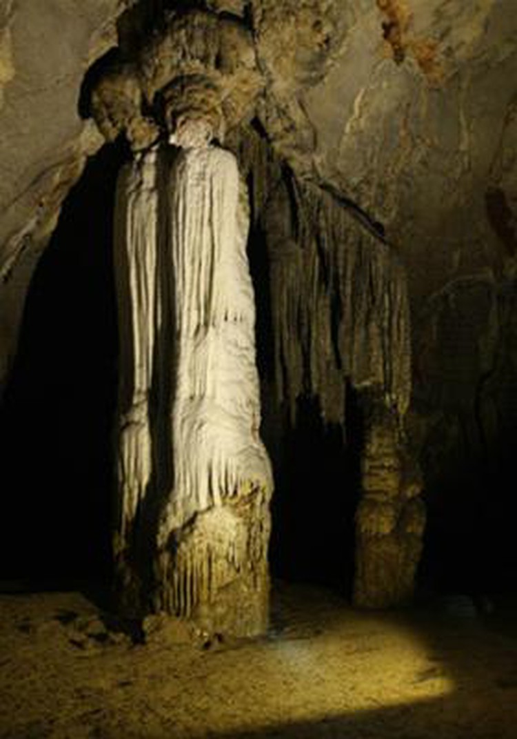 Logo, slogan contest launched for Phong Nha- Ke Bang