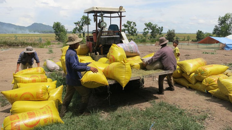 Chinese harvesters become delta farmers’ obsession