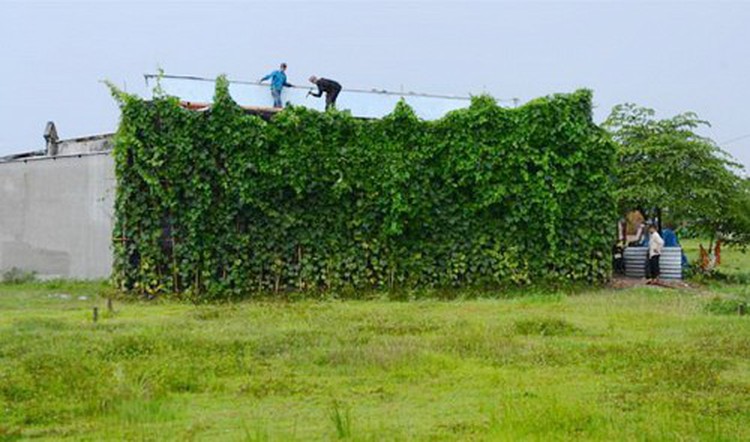 550 houses built illegally in HCMC in one month