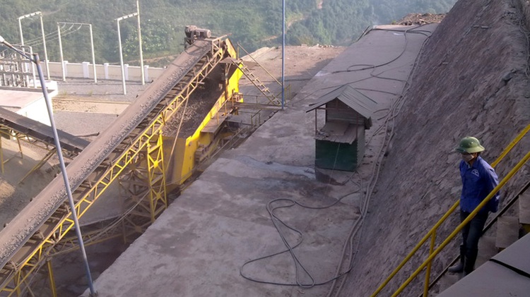 Illicit iron ore exports to China cause VN budget loss: report