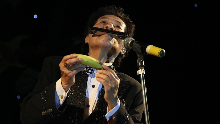 The harmonica wizard
