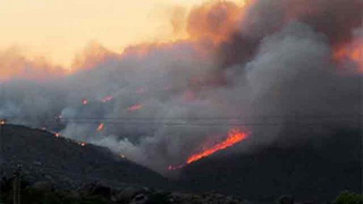 At least 19 firefighters killed battling Arizona blaze