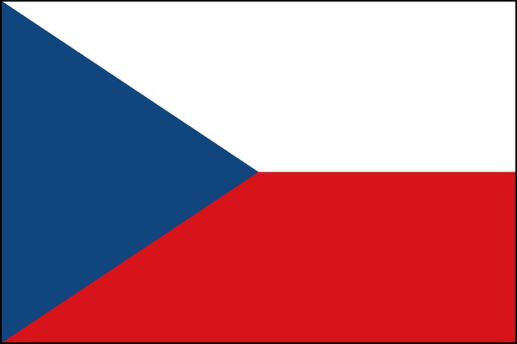 Vietnamese community in Czech gets minority status