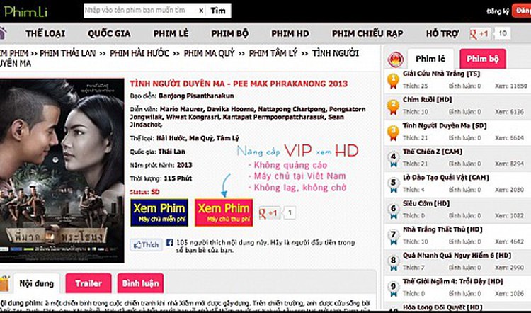 Film copyright infringement rampant in VN