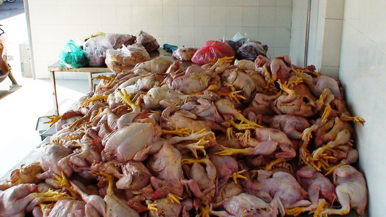Rotten chicken organs meant for humans seized