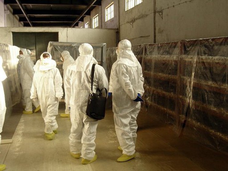 Japan to go nuclear-free during safety checks
