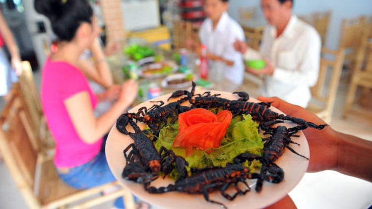 Crickets, scorpions on Saigonese plates
