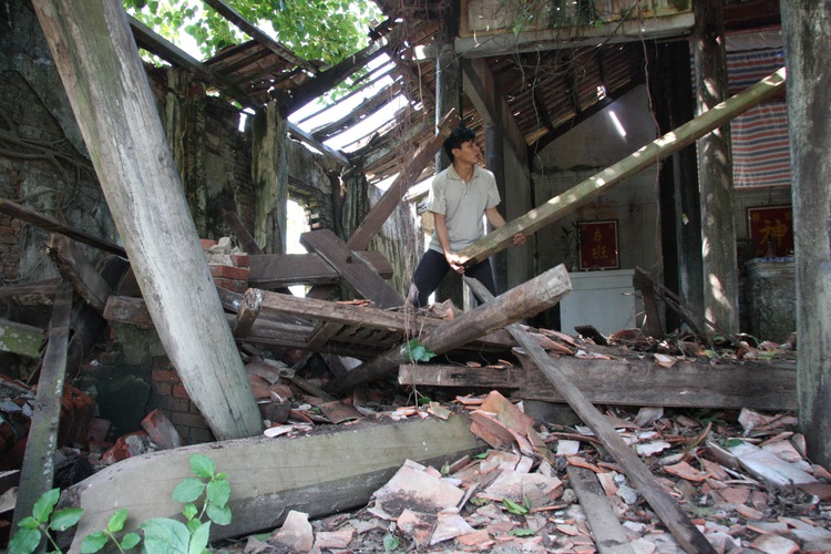 Century-old temple inside bodhi tree slowly collapsing