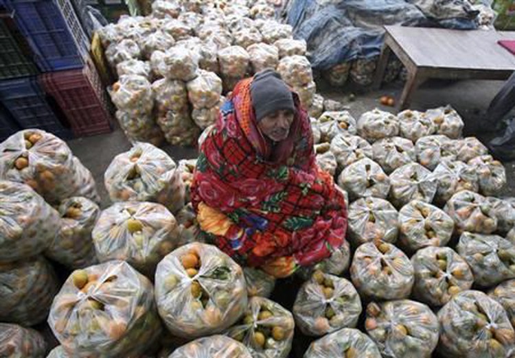 Study finds poverty reduces brain power