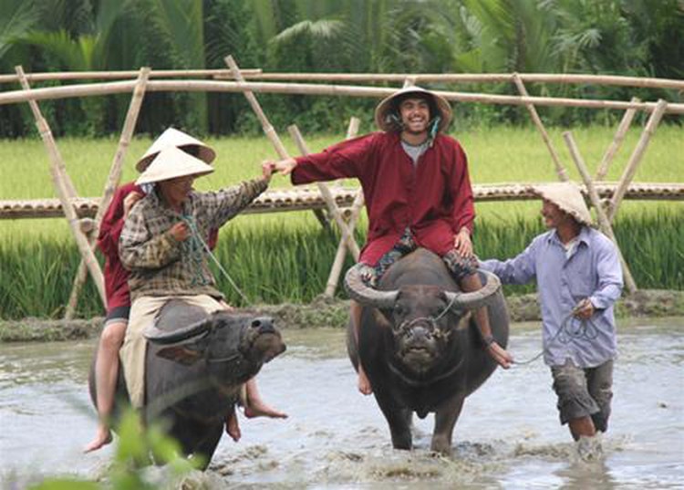 Pristine landscapes, hospitality makes Hoi An a top tourist destination