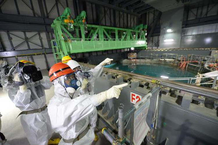 Fukushima plant readies for delicate fuel rod removal
