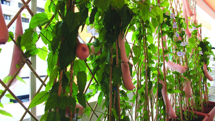 Vietnam joins 2013 Singapore Biennale exhibit