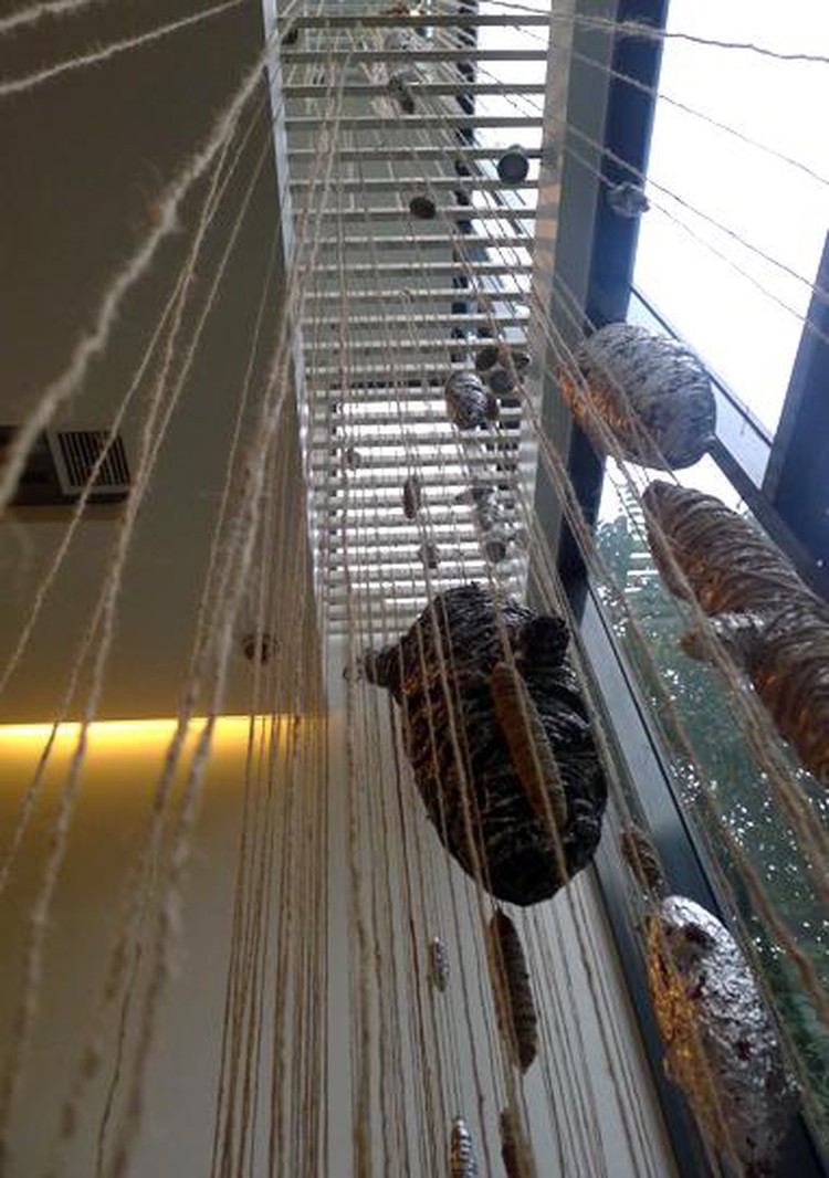Experimental contemporary sculpture exhibit ongoing