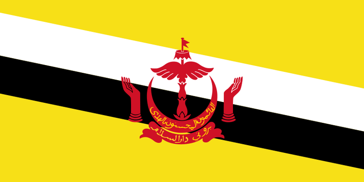 Hotline set up between navies of Vietnam and Brunei