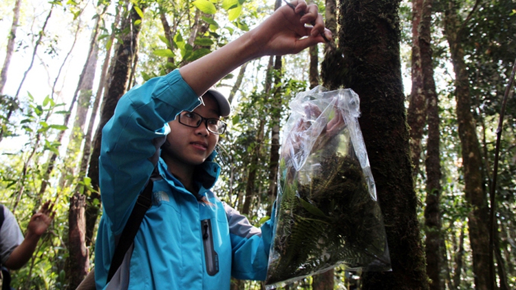 Learning nature, amidst nature